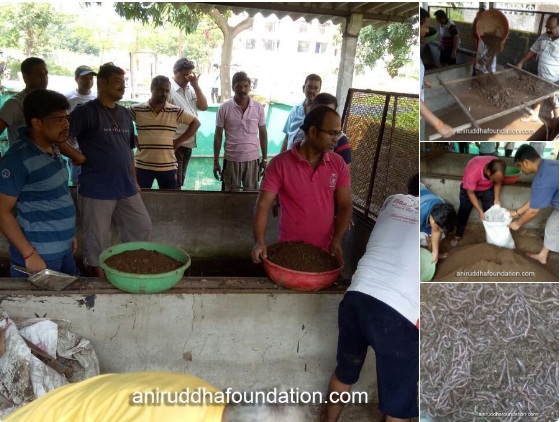 Aniruddha Foundation - Vermiculture 1968-Extended Western Zone