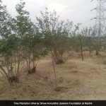 AniruddhaFoundation-28Apr2018-Tree Plantation Drive-3