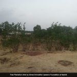 AniruddhaFoundation-28Apr2018-Tree Plantation Drive-3